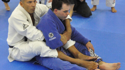 Understanding Positional Hierarchy in Brazilian Jiu Jitsu | Farmington Consulting Group