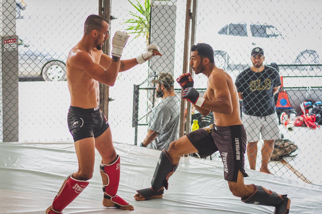 martial arts sparring showing striking and grappling exchange between two students